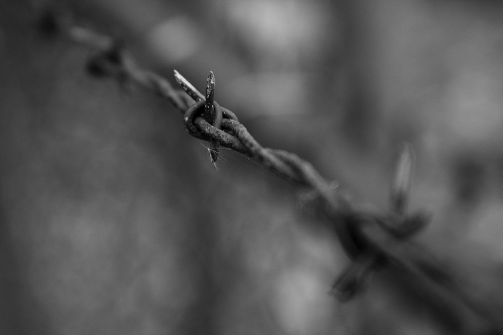 Barbed Wire