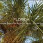 Florida Montage