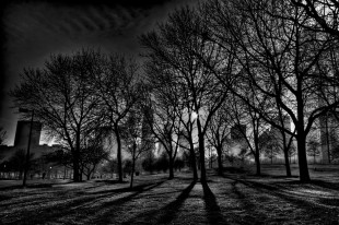 Shadows and Fog in Grant Park, Chicago