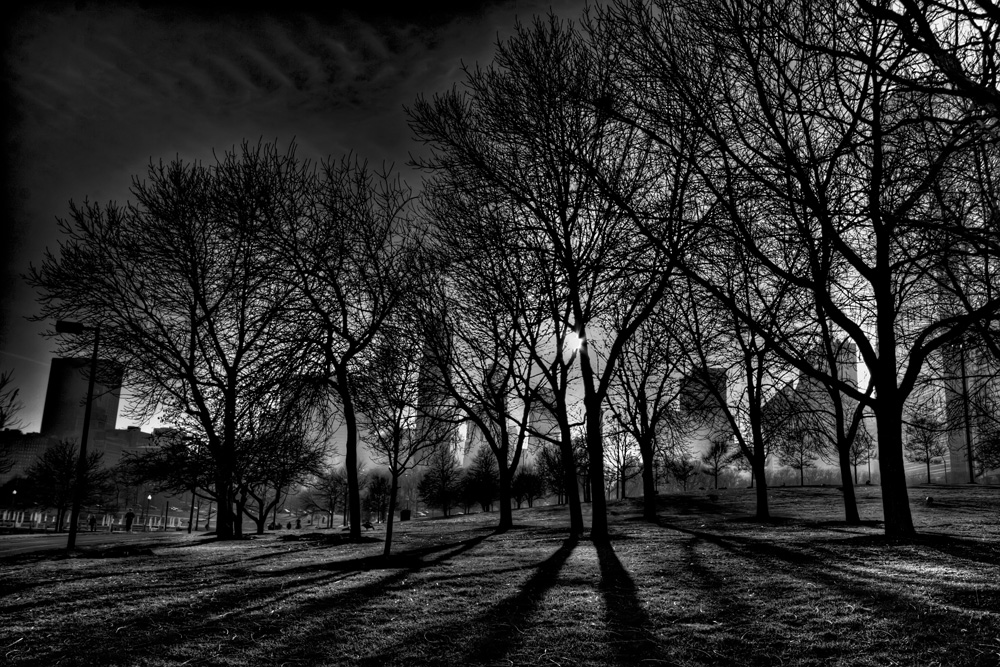 Shadows and Fog in Grant Park, Chicago