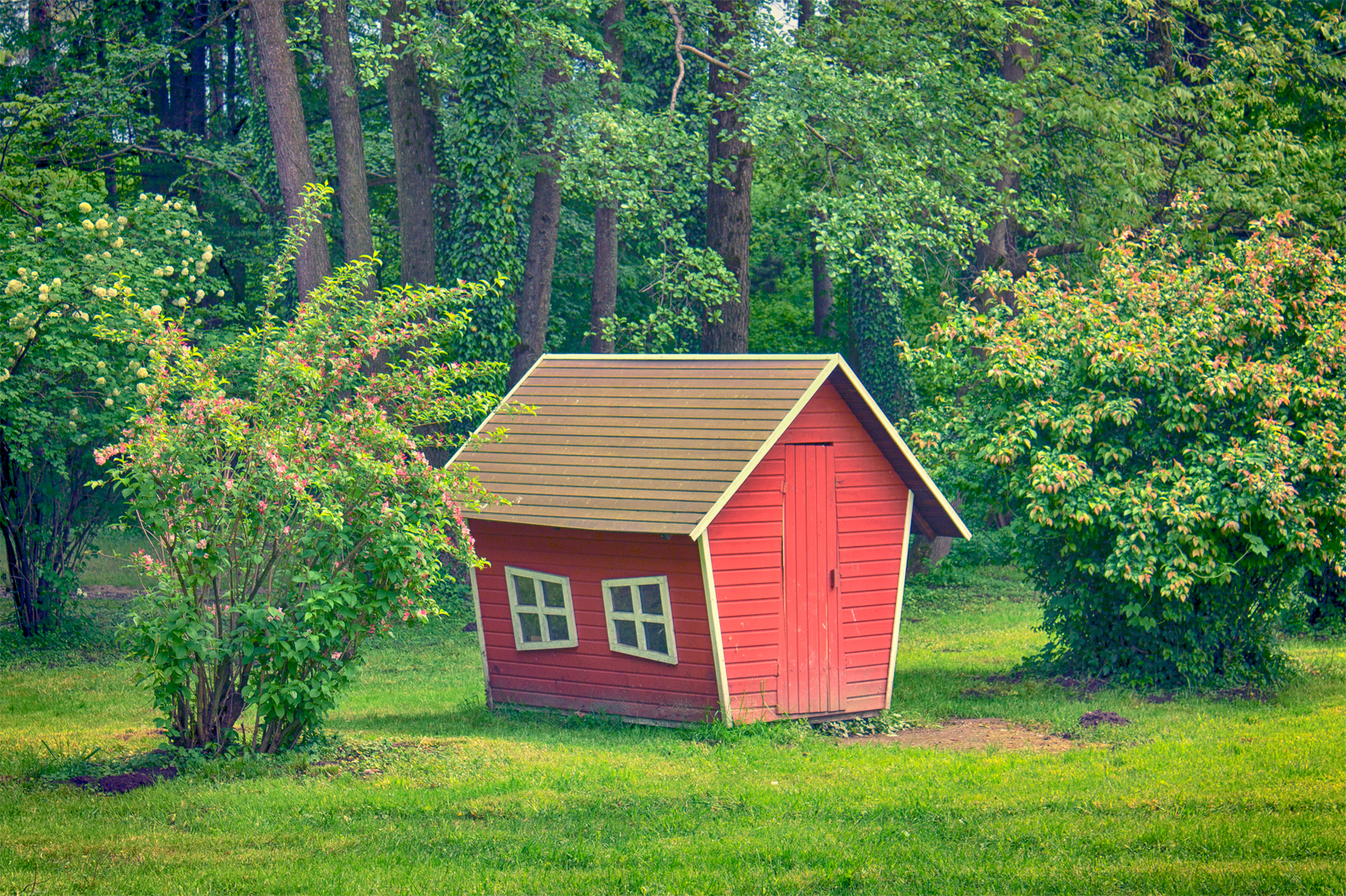 Red Shed