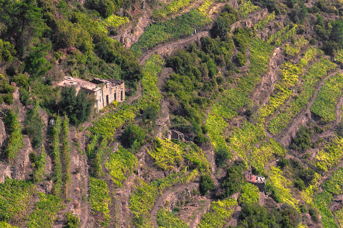 Vernazza Hills