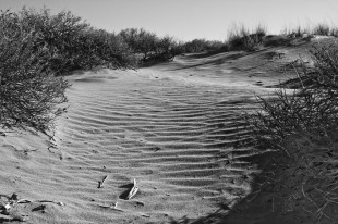 Sand Dune