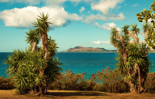 Diamond Head view from Koke'e