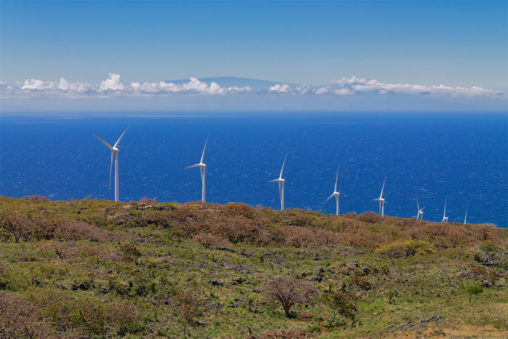 Hawaiian Windmills