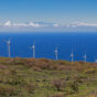 Hawaiian Windmills