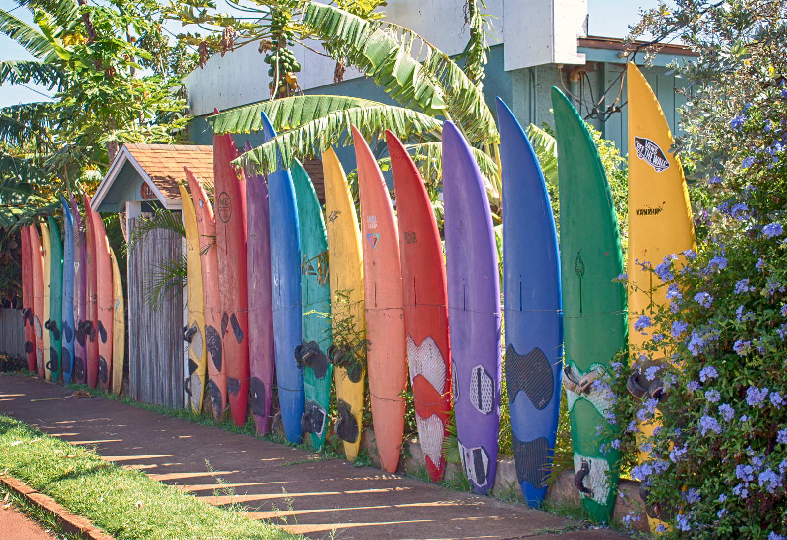 Surfboard Fence