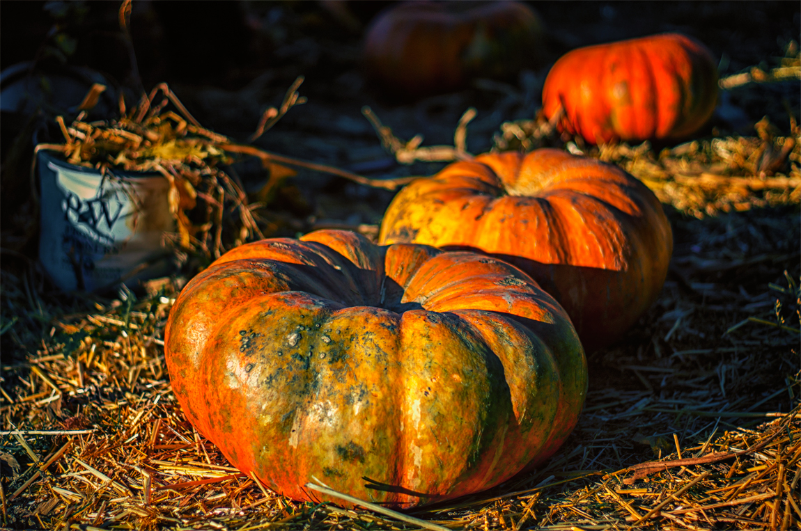 Pumpkins