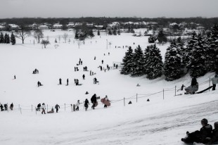 Snow Joy