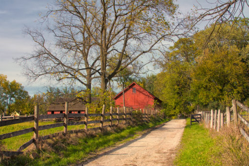 Countryside Autumn