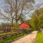 Countryside Autumn