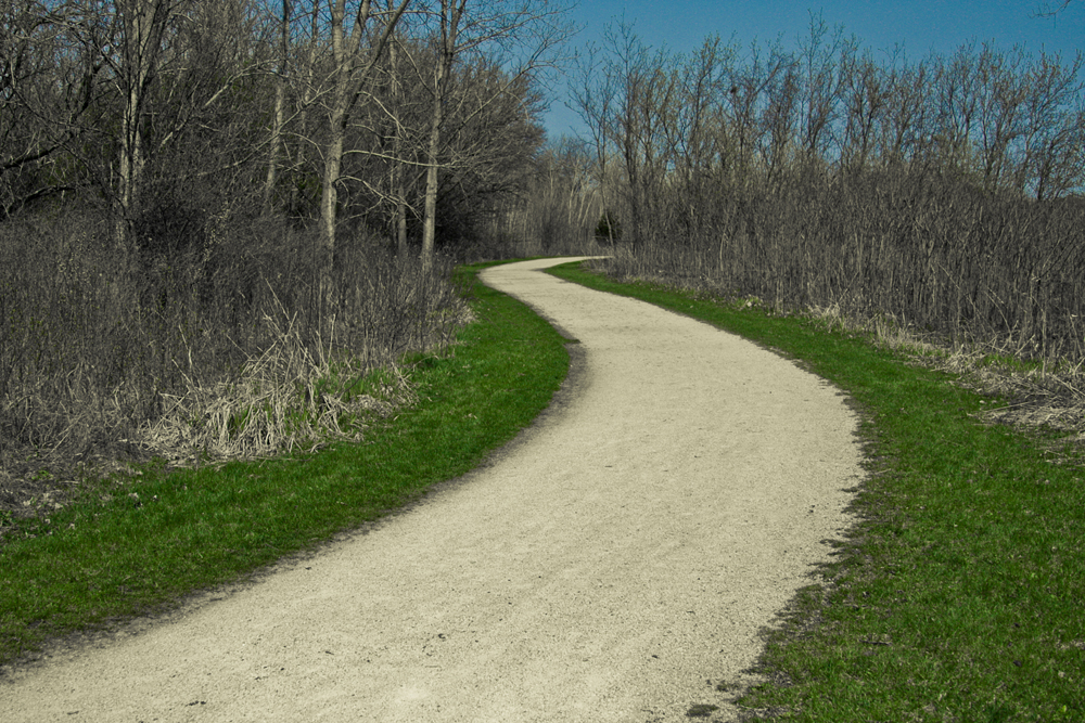 Curved Road