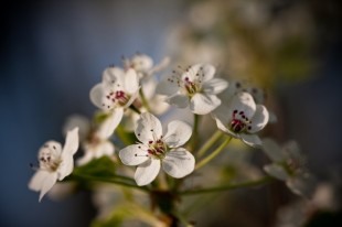 Ahhh, finally Spring!