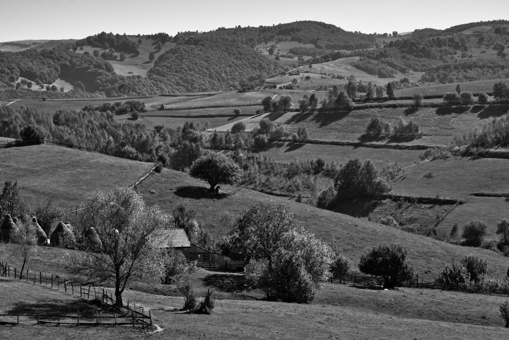 Bucolic Land