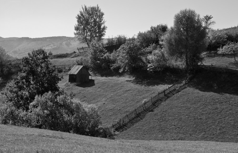 Bucolic Land