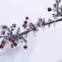 Frozen Branch