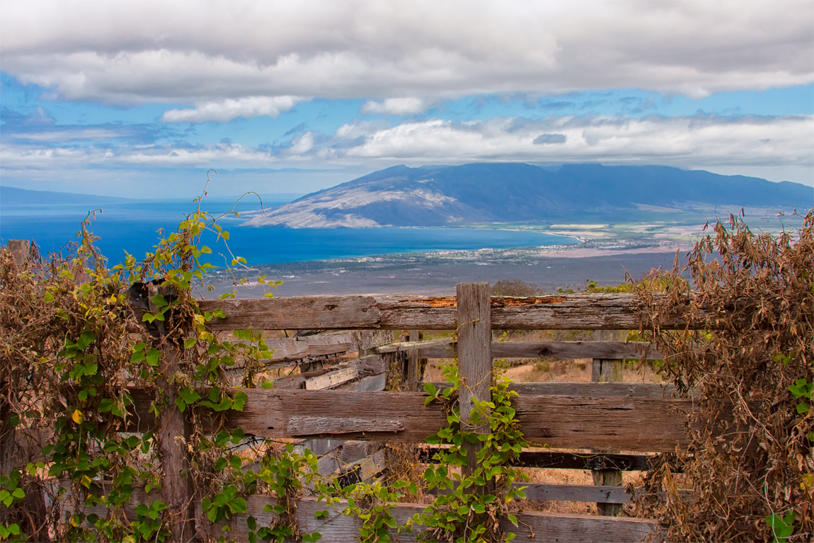 Maui Scene